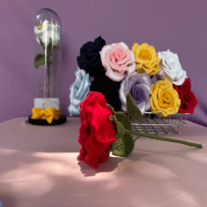 gatitos crochet en adopción